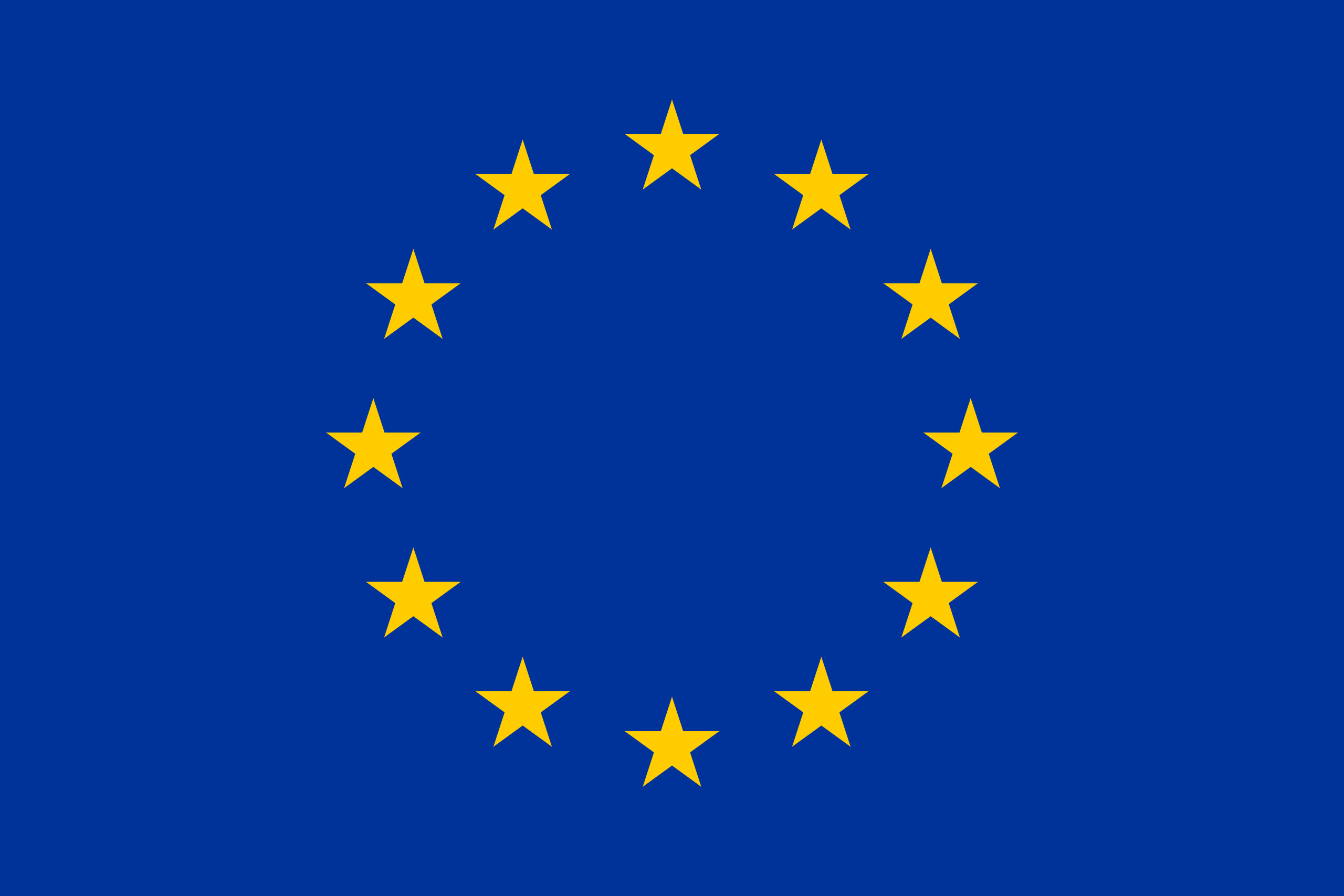 European Union Flag