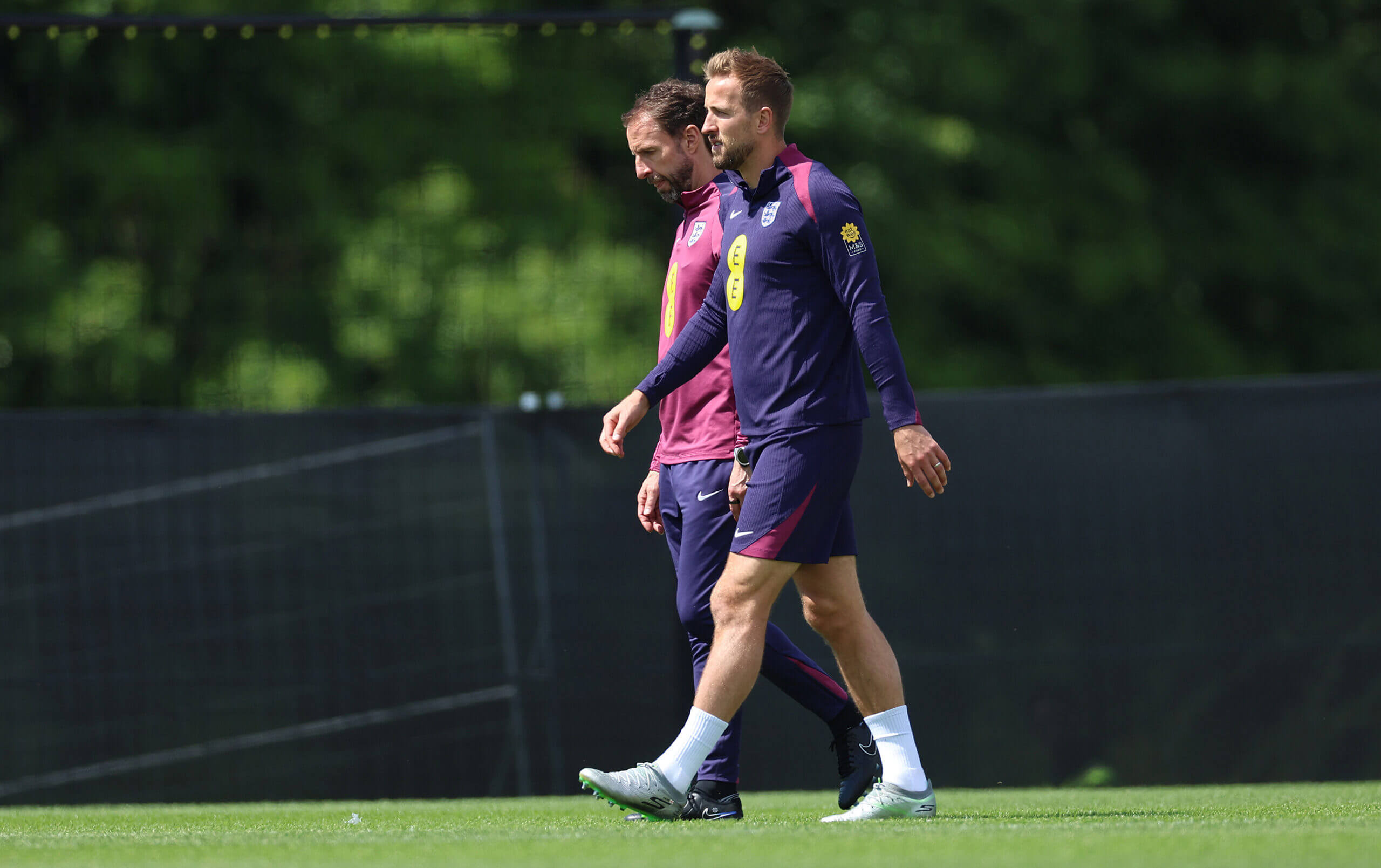 Kane and Southgate in discussion