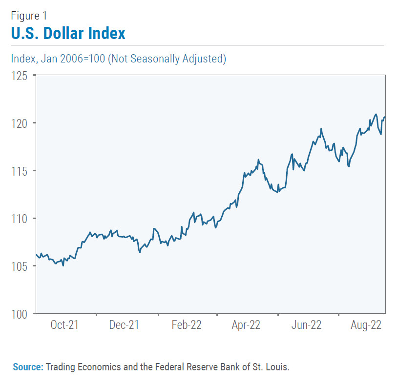 US Dollar Index Chart - Alt: Graph depicting the historical rise of the US dollar index against other major currencies, highlighting its recent peak.