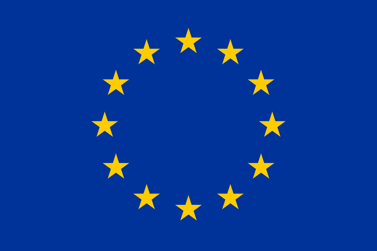 Euro to CFA Franc Exchange Rate Trends