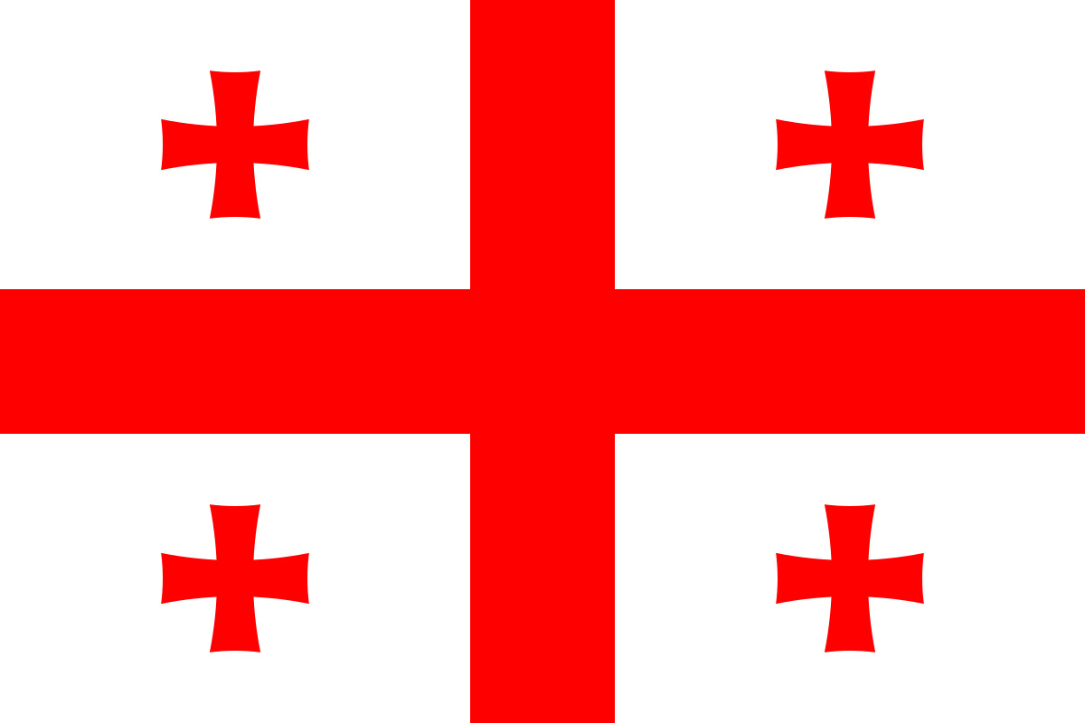 Georgian Flag Waving at Euro Cup